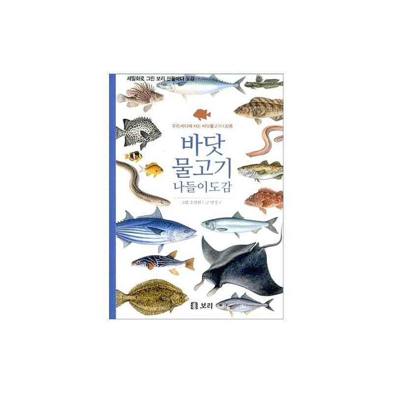 [도서] 바닷 물고기 나들이도감