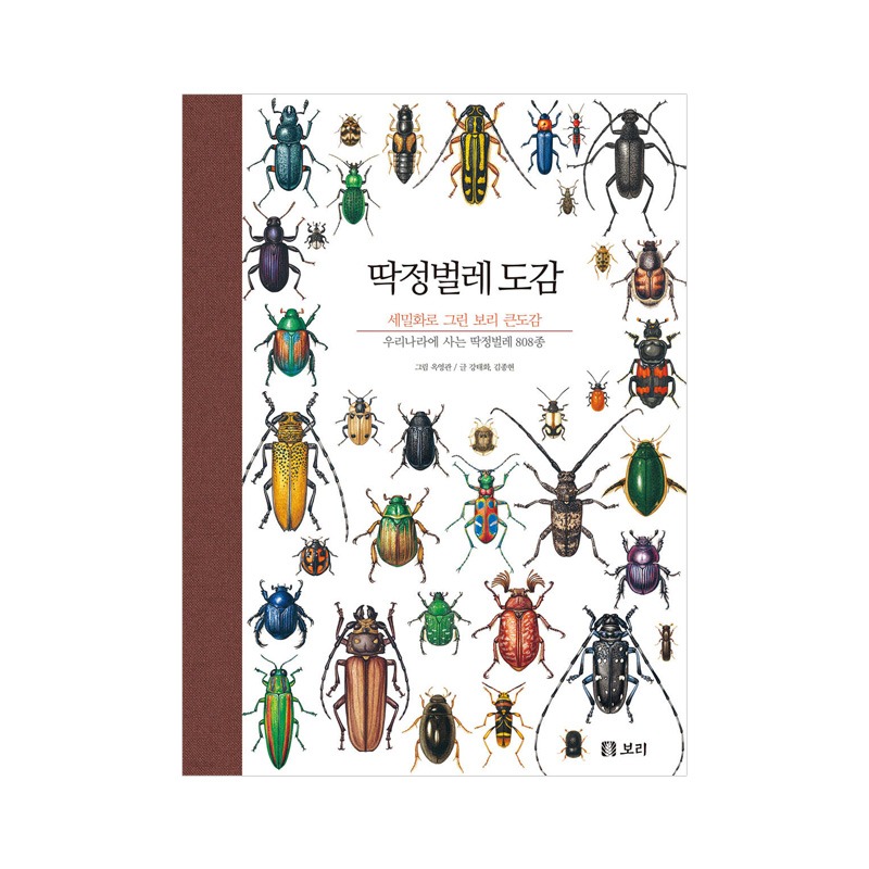 [도서] 세밀화로 그린 보리 큰도감 - 딱정벌레